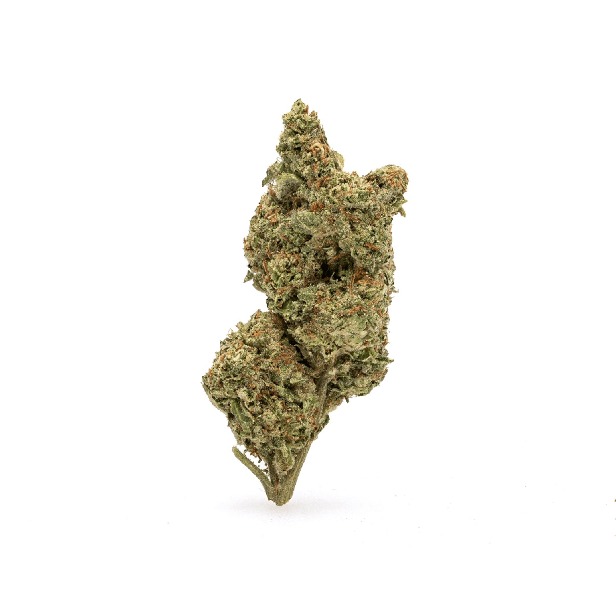 High-THC Flower – Gold Cash