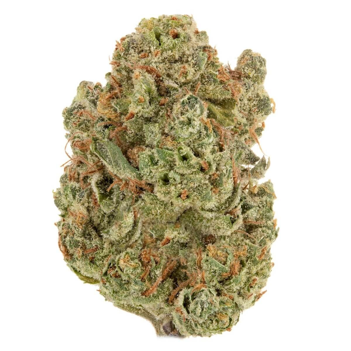 CBD Flower – Bubba Kush