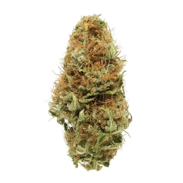 High-THC Flower – White Widow Haze