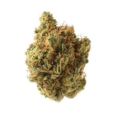 High-THC Flower – Amnesia Haze