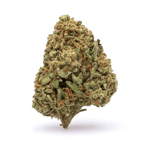 High-THC Flower – Watermelon Kush