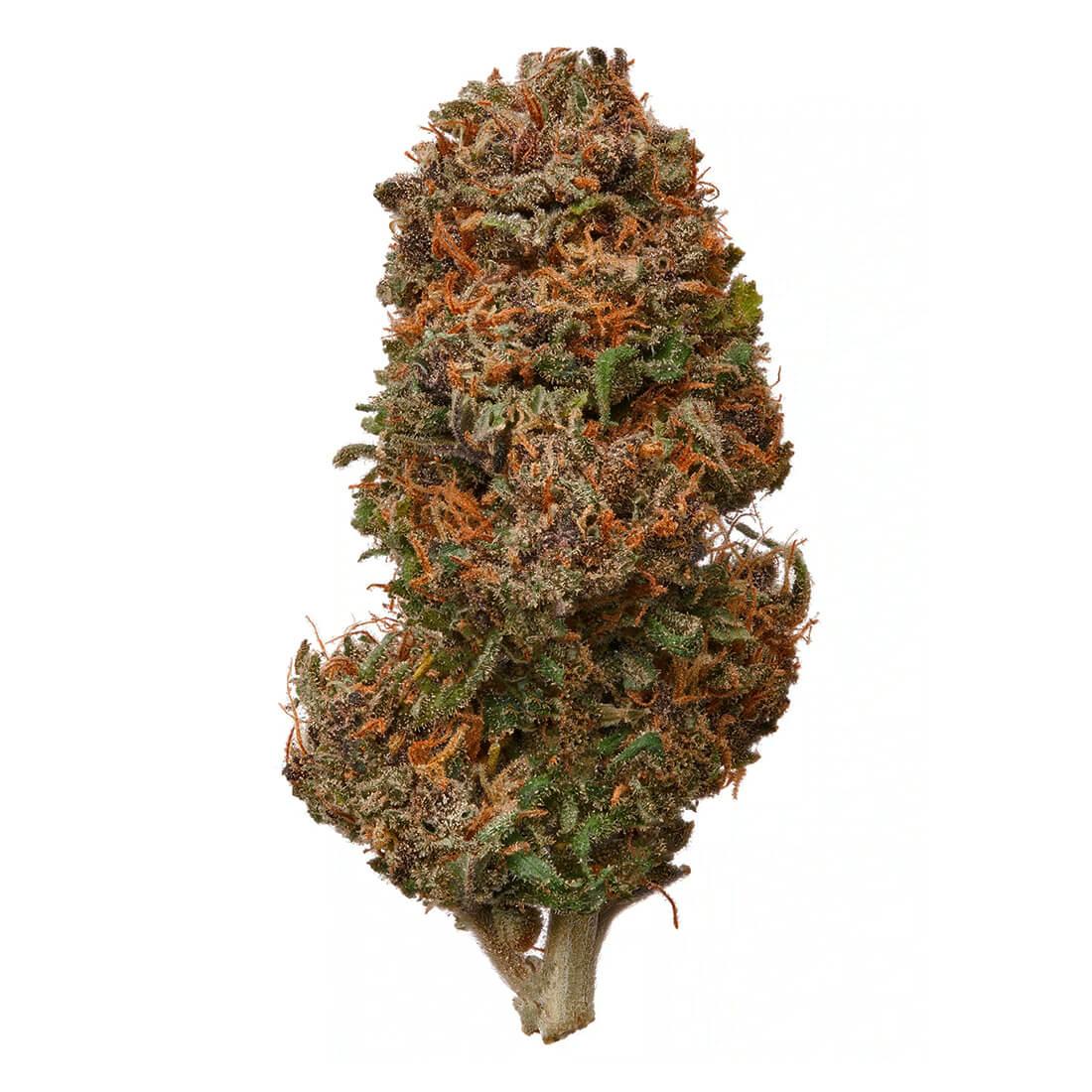 CBD Flower – Pink Panter